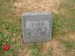 Viola <I>Krostag</I> Kohlbeck 