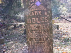 Mary Arminta <I>Peden</I> Boles 