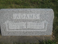 Anna Irene “Ann” <I>Vassar</I> Adams 