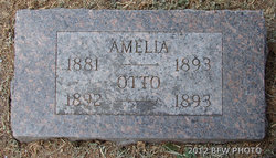 Amelia Pospishil 