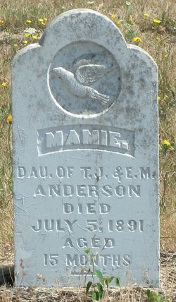 Mamie Anderson 