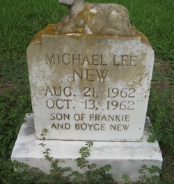 Michael Lee New 