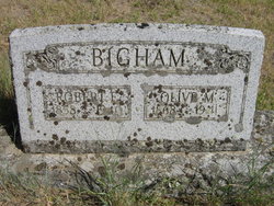 Robert Emmett Bigham 