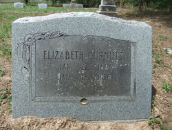Villie Elizabeth “Lizzie” <I>Conner</I> Curnutt 