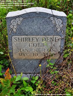 Shirley Dene <I>Thompson</I> Cobb 