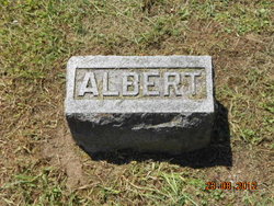 Albert Tedd 
