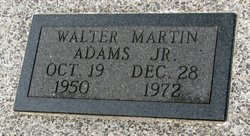 Walter Martin Adams Jr.