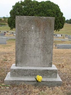 Robert Newton Burgess 