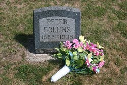 Peter Collins 