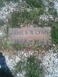 James A. Lynn 