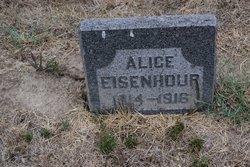 Alice Nan Eisenhour 