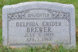 Delphia <I>Crider</I> Brewer 