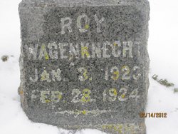 Roy Wagenknecht 