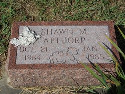 Shawn M Apthorp 
