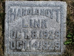 Harold Hoyt Link 