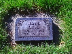 Jessie Cole 