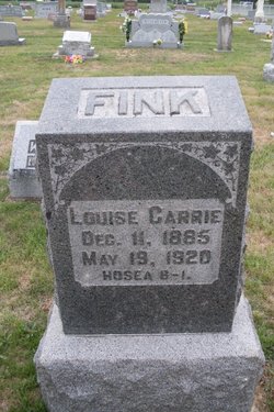 Louise Carrie Fink 