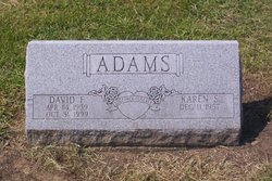 David Franklin Adams 