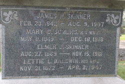 Elmer James Skinner 
