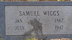 Samuel Washington Wiggs 