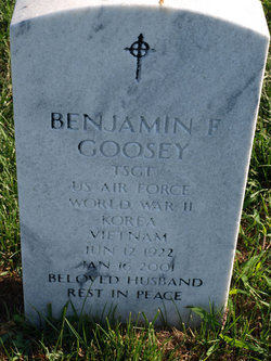 Benjamin Franklin Goosey 