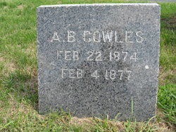 A. B. Cowles 