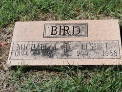 Michael J Bird 
