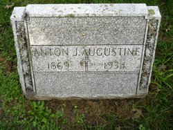 Anton J Augustine 