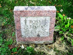 Rose <I>Homola</I> Shimek 