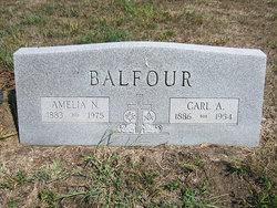 Carl Alexander Balfour 