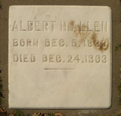 Albert Harrison Allen 