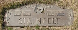 Fred Johann Steinfelt 