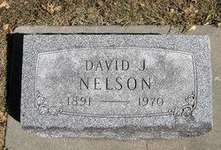 David J. Nelson 