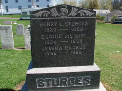 Henry Lewis Sturges 