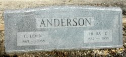 Hilda Carolina <I>Johnson</I> Anderson 