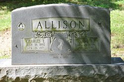 Agnes M. Allison 