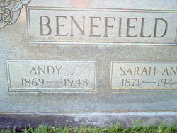 Sarah Ann <I>Bryce</I> Benefield 