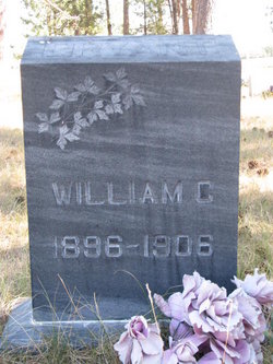 William Cullen Bryant 