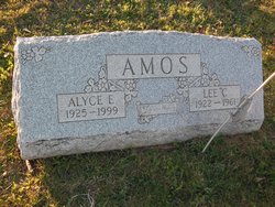 Alyce Elizabeth <I>Little</I> Amos 