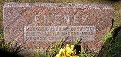 Ernest E Cheney 