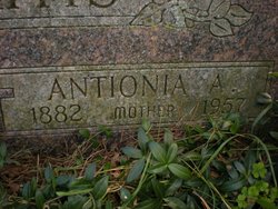 Antionia Anna <I>Kiaunis</I> Albaitis 