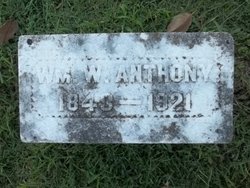 William Wilkes Anthony 