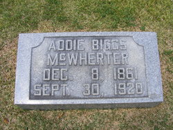 Rebecca Adaline “Addie” <I>Biggs</I> McWherter 