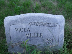 Viola <I>Botkins Binkley</I> Miller 