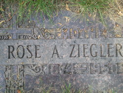 Rose A <I>Weiss</I> Ziegler 