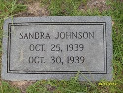 Sandra Gray Johnson 