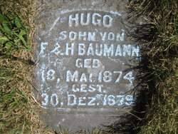 Hugo Baumann 