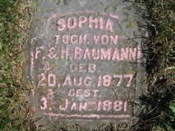Sophia Maria Margaretha Baumann 