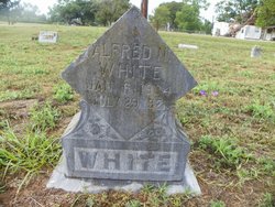 Alfred N. White 