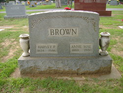 Annie Mae <I>Maddox</I> Brown 